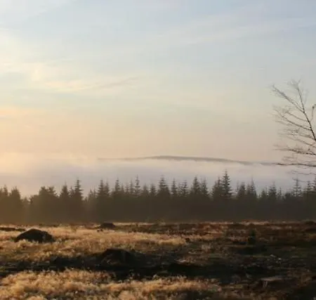 Haus Ruhrkopfblick 아파트