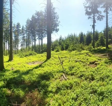 Haus Ruhrkopfblick *