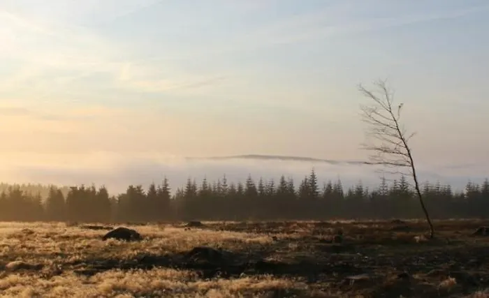 Haus Ruhrkopfblick Apartmán